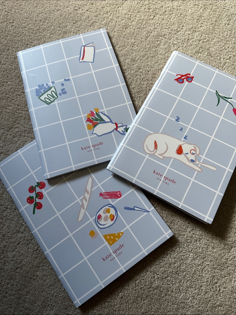 kate spade Light Blue notebooks with Playful Illustrations!